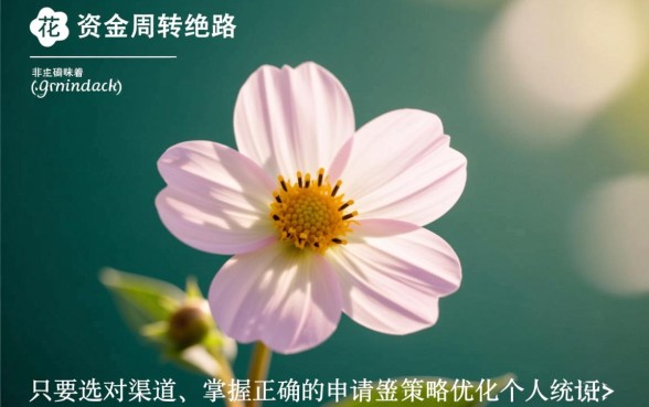 征信花也能下款的口子2026