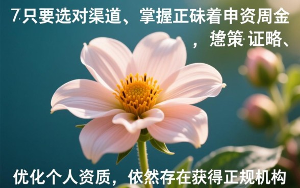 征信花也能下款的口子2026