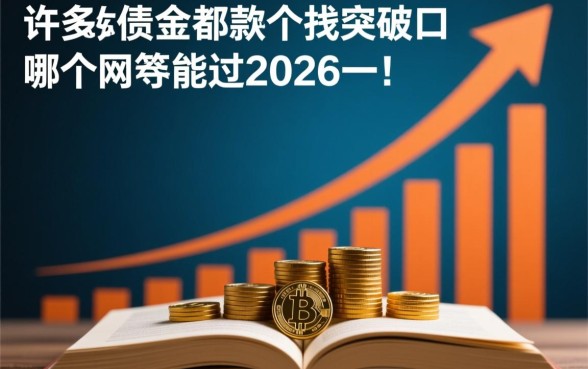负债太高哪个网贷能过2026