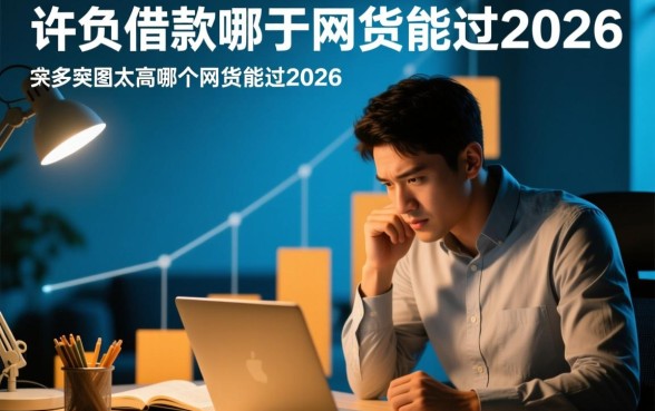 负债太高哪个网贷能过2026
