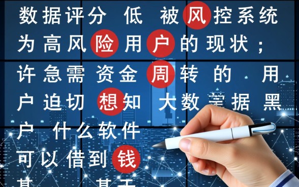 大数据黑户什么软件可以借到钱