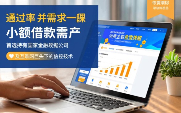 什么借款平台最好借款通过小额