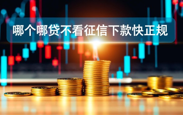哪个网贷不看征信下款快正规的
