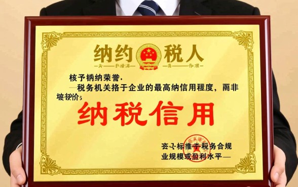 A级纳税人是什么意思