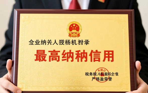 A级纳税人是什么意思