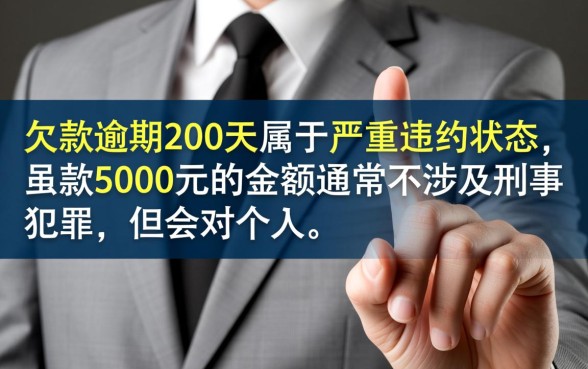 欠京东白条5000逾期200天会怎么样