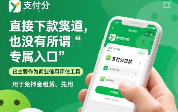 有没有靠微信支付分下款的口子