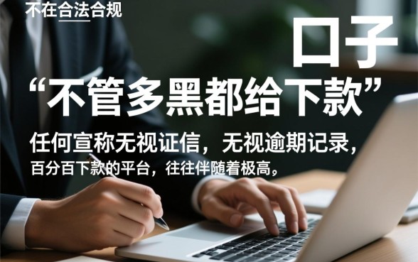 有没有不管多黑都给下款的口子