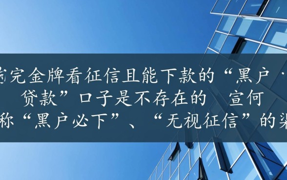 有没有黑户贷款又能下款的口子