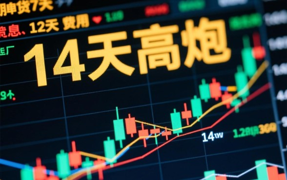 能下款的14天高炮口子有哪些