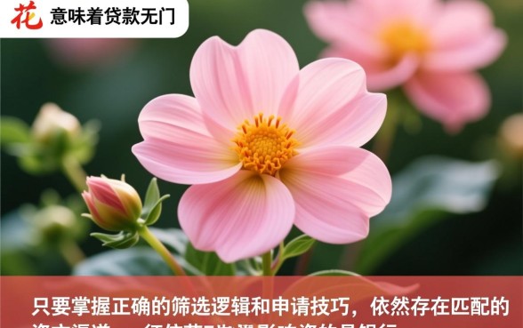 征信花也能下款的口子有哪些