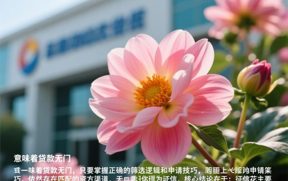 征信花也能下款的口子有哪些