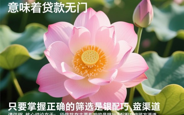 征信花也能下款的口子有哪些