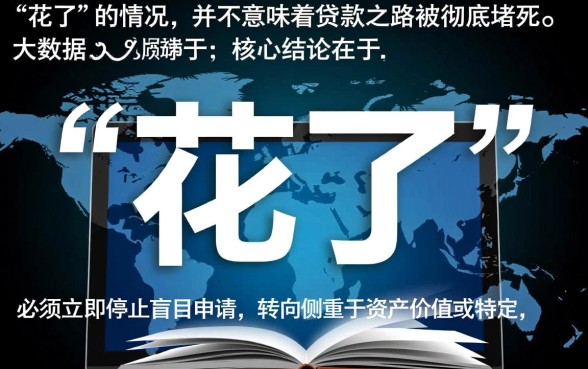 征信大数据花了能下的贷款口子有哪些