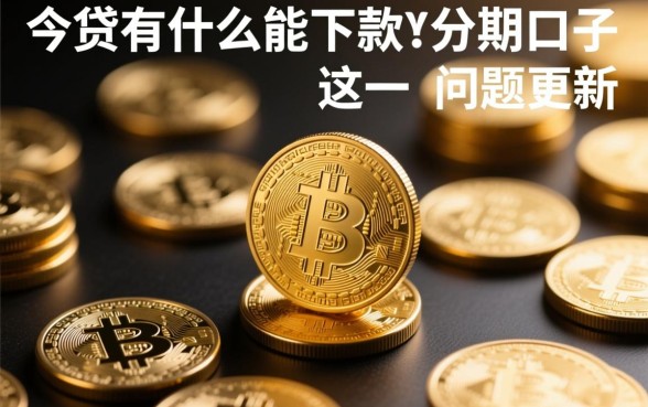 今天还有什么能下款的分期口子
