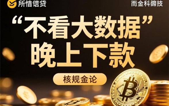 不看大数据晚上下款口子