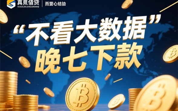 不看大数据晚上下款口子