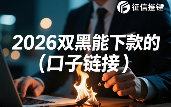 2026双黑能下款的口子链接在哪