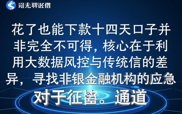 征信花了也能下款的十四天口子吗