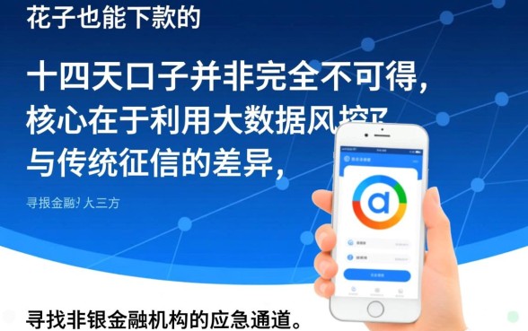 征信花了也能下款的十四天口子吗