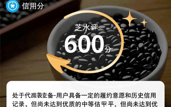 2026芝麻600能下的口子有哪些