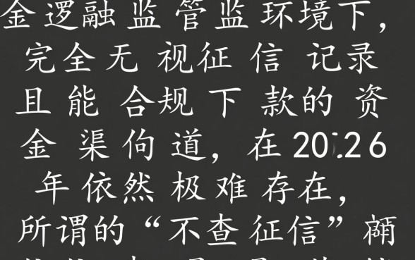 2026不查征信能下款的口子是真的吗?安全吗? 2026不查征信能下款的口子是真的吗