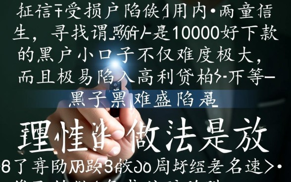 10000黑户小口子好下款吗