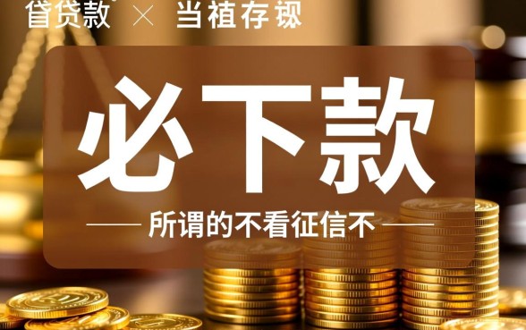 不看征信不看当前负债的必下款吗