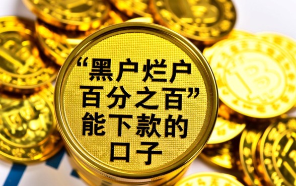 黑户烂户百分之百能下款的口子