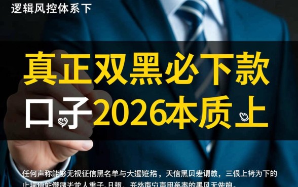 真正双黑必下款的口子2026有哪些