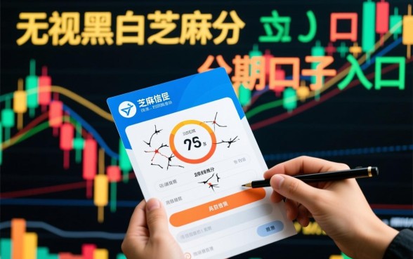 无视黑白芝麻分的分期口子入口在哪