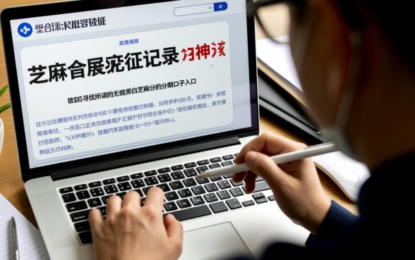 无视黑白芝麻分的分期口子入口在哪