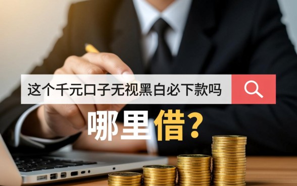 这几个千元口子无视黑白必下款吗