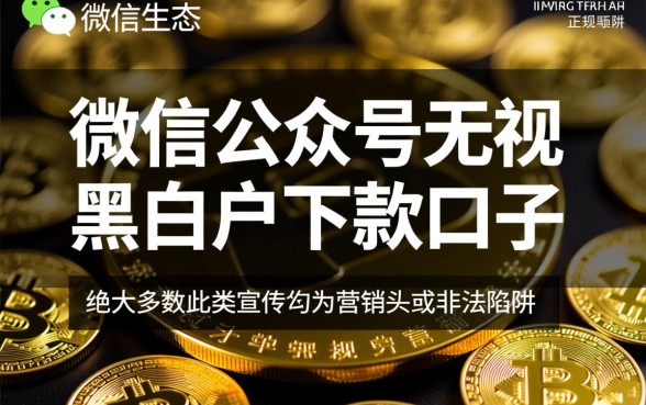 微信公众号无视黑白户下款口子是真的吗
