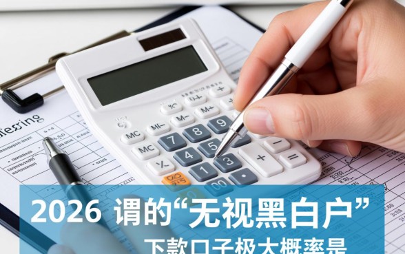 2026无视黑白户的下款口子有哪些