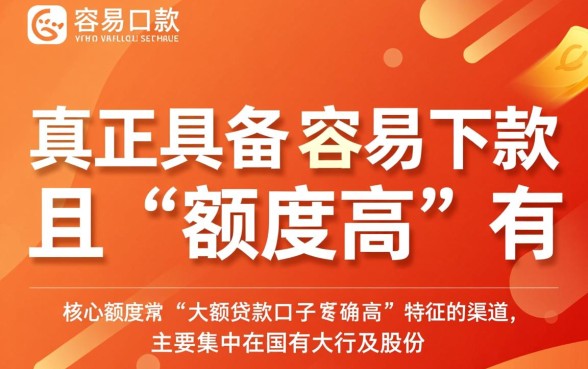 容易下款的大额贷款口子有哪些