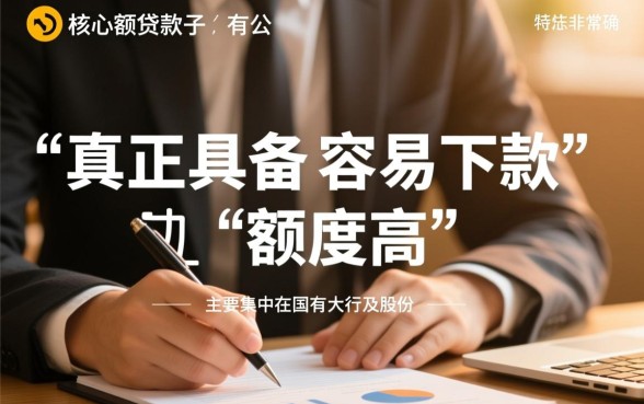 容易下款的大额贷款口子有哪些