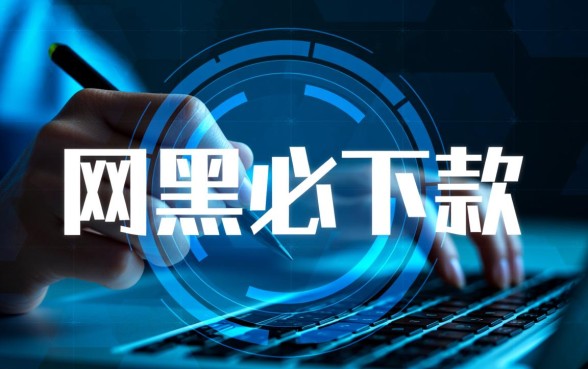 2026网黑必下款的分期口子有哪些