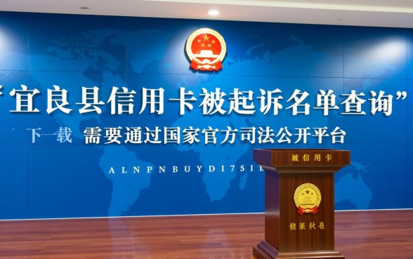 宜良县信用卡被起诉名单怎么查