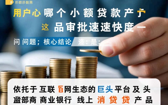 哪个小额贷款产品审批速度快