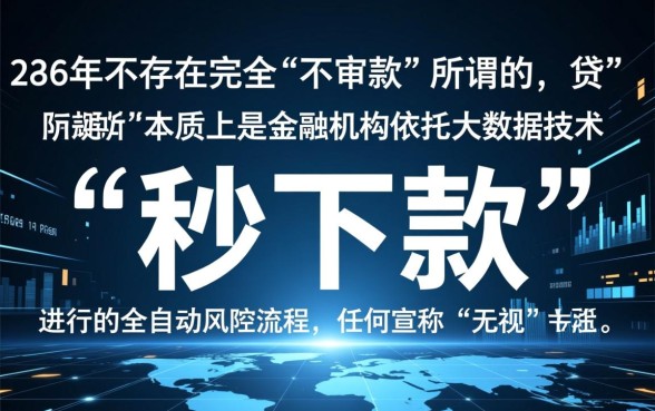 24年不审核真的能秒下款吗