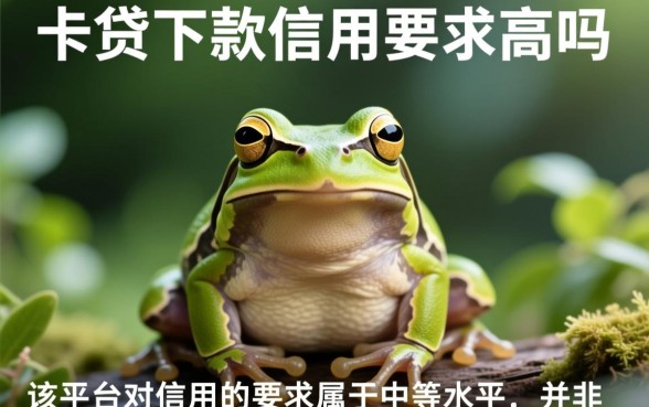 小蛙卡贷下款对信用要求高吗