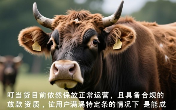 卡牛叮当贷现在能成功下款吗,最新口子审核容易通过吗 卡牛叮当贷现在能成功下款吗