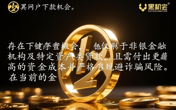 难道网黑贷款也有下款的机会