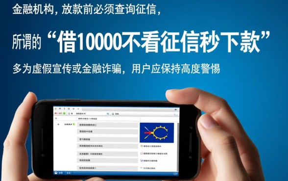 借10000不看征信秒下款是真的吗