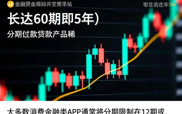 什么贷款app可以分60期