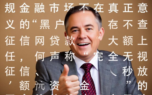 黑户不查征信的大额网上贷款哪里有