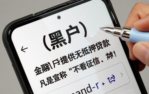 2026哪里有不用审核必下款口子