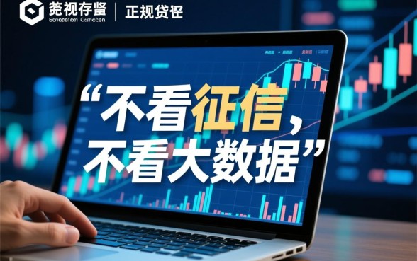 什么平台借款不看征信大数据