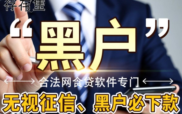 有什么黑户可以贷的网贷软件